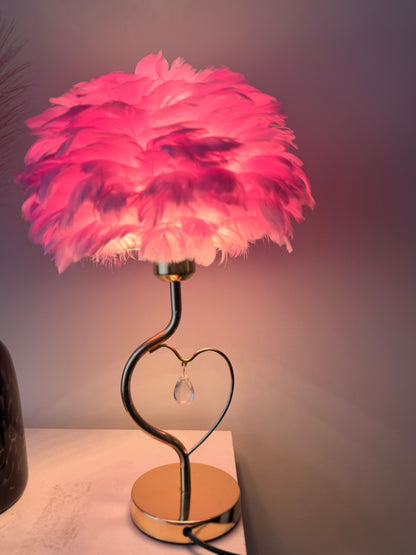 Feather Charm Heart Lamp