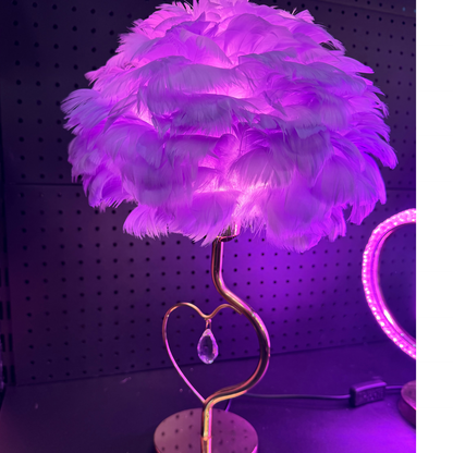 Feather Charm Heart Lamp